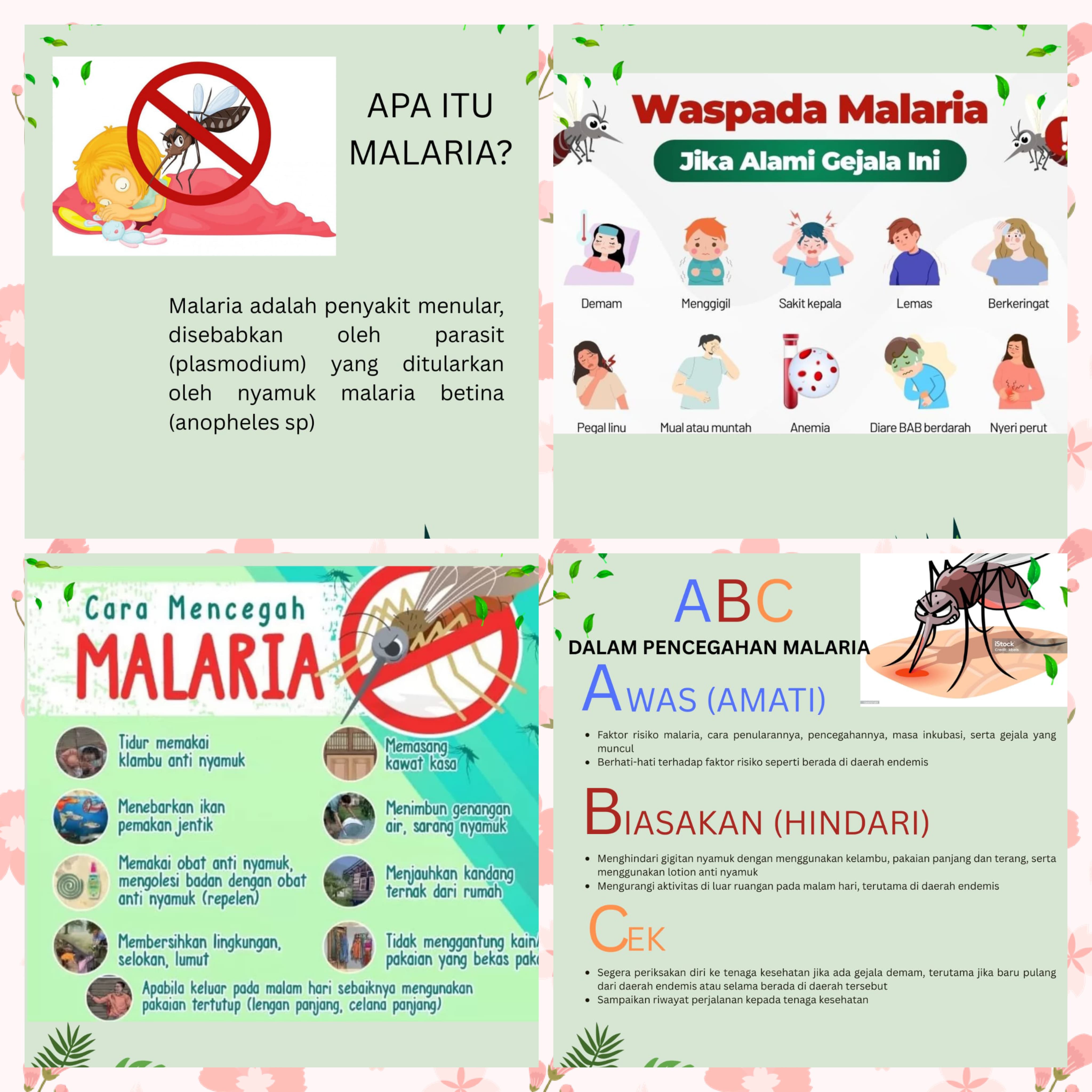 Blog Single